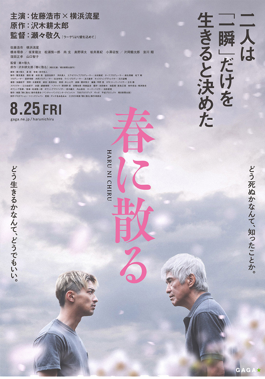 映画『春に散る』 公式サイト